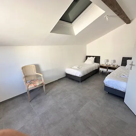 House 40 With 5 Bedrooms Lechaffardcom Apartment Satolas-et-Bonce